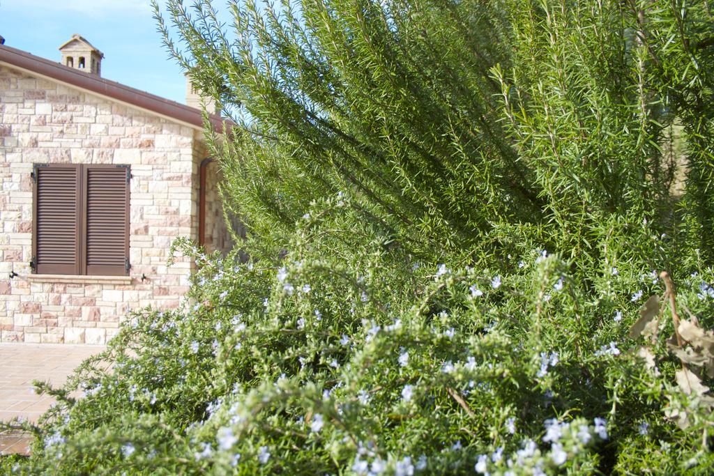 أسيسي B&B Lavanda E Rosmarino المظهر الخارجي الصورة