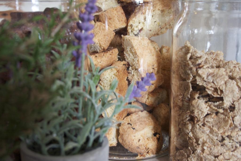 أسيسي B&B Lavanda E Rosmarino المظهر الخارجي الصورة