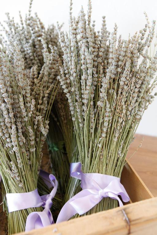 أسيسي B&B Lavanda E Rosmarino المظهر الخارجي الصورة