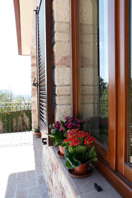 أسيسي B&B Lavanda E Rosmarino المظهر الخارجي الصورة